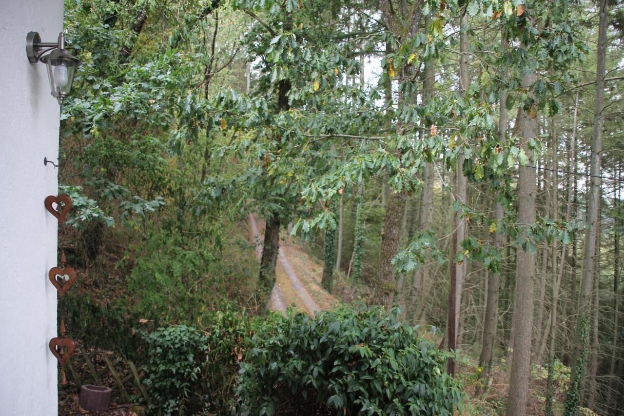 The Vianden Cottage - Charming Cottage In The Forest מראה חיצוני תמונה