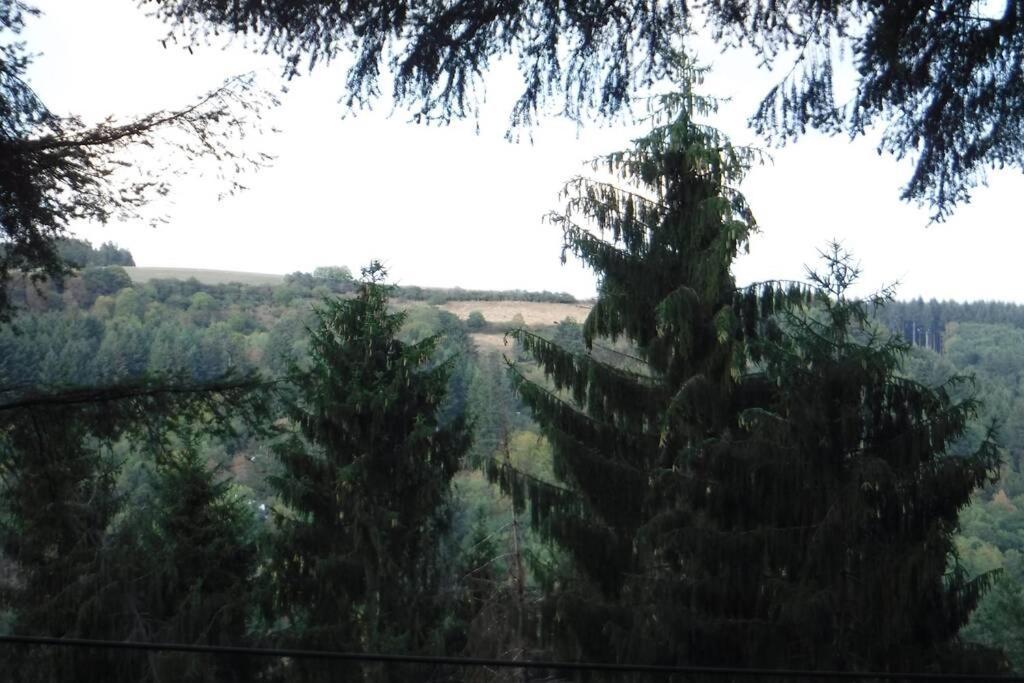The Vianden Cottage - Charming Cottage In The Forest מראה חיצוני תמונה