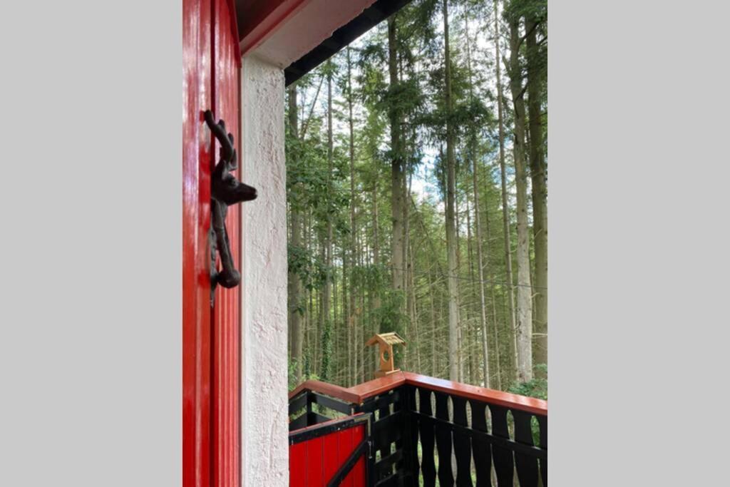 The Vianden Cottage - Charming Cottage In The Forest מראה חיצוני תמונה